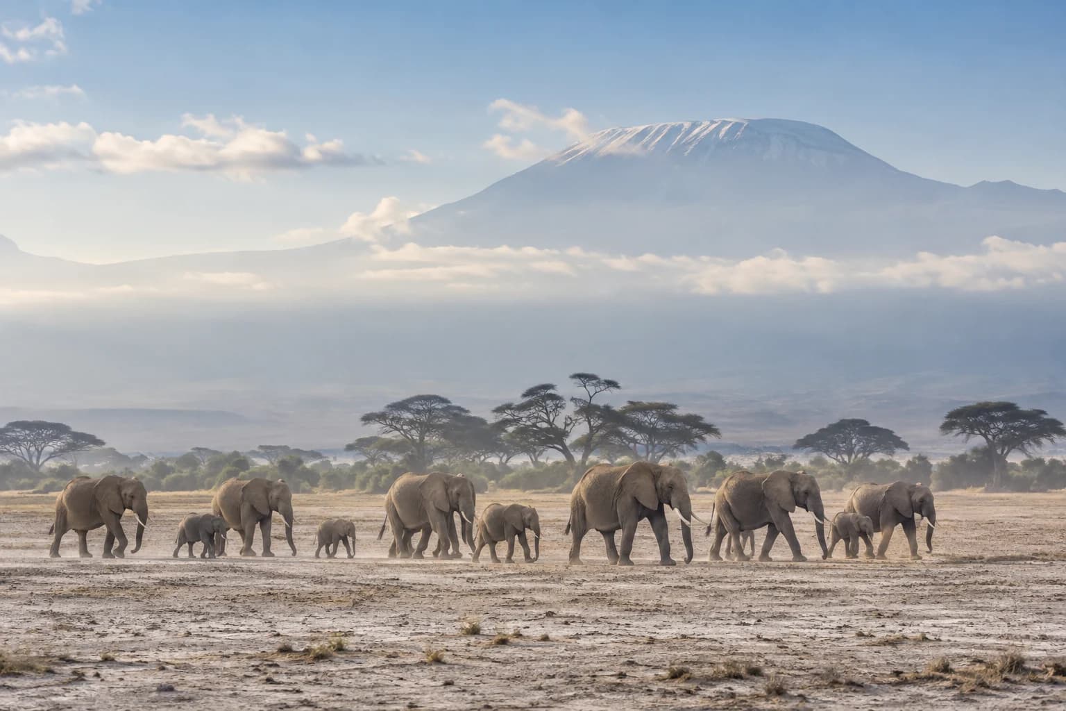 AI-generated illustration: A wide herd of elephants viewed from a distance crossing Amboseli's pale dry lakebed, hazy foothills and acacia silhouettes, bright soft morning sky, no close giant elephant.