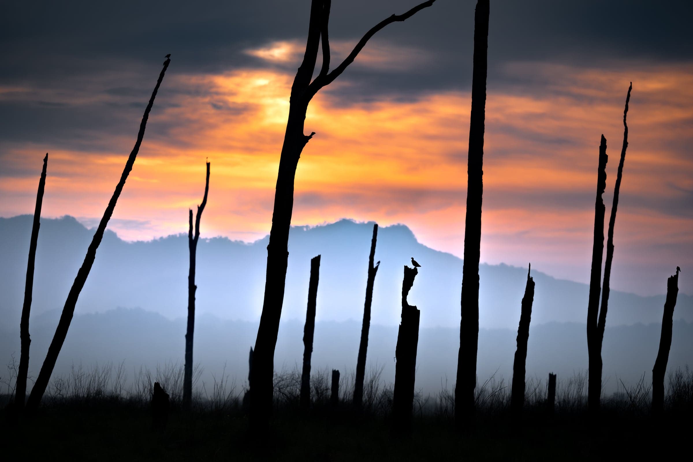 Pench wildlife and landscape photograph 3